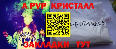 дурь Кингисепп