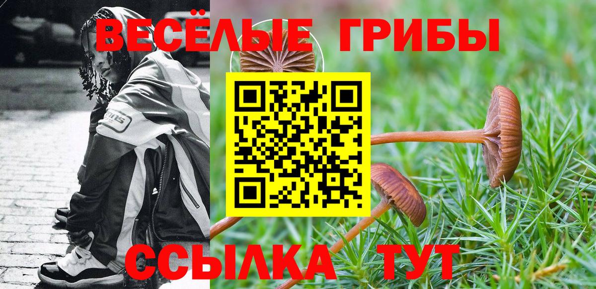 Псилоцибиновые грибы прущие грибы Кропоткин