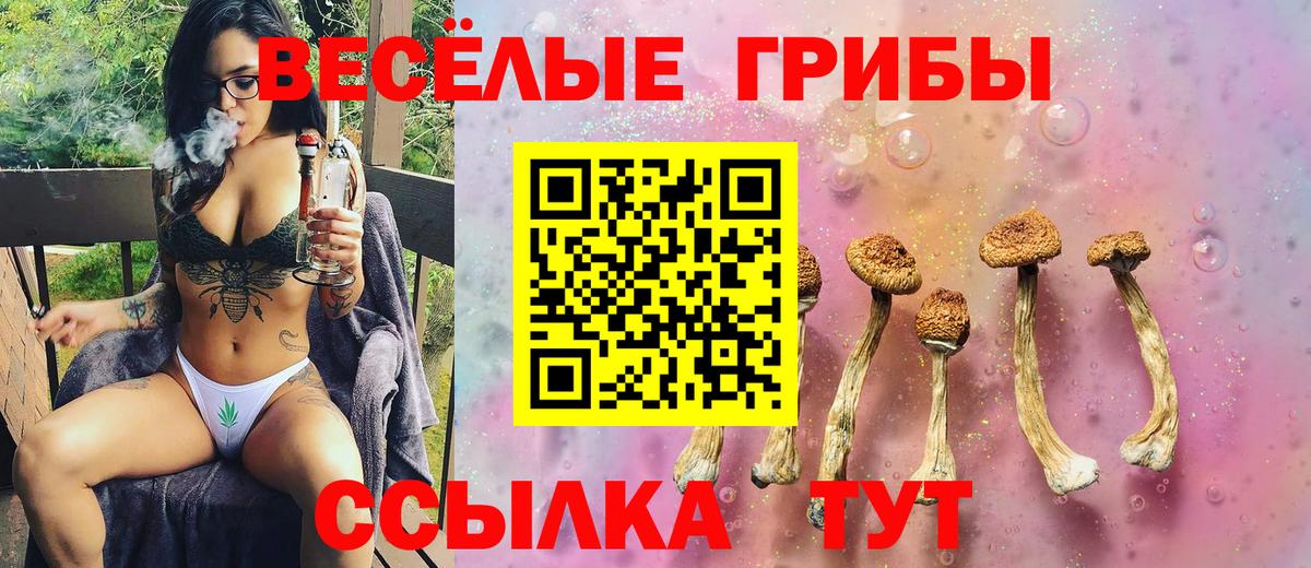 купить наркотик  Галлюциногенные грибы Psilocybine cubensis  Вход с VPN  Кропоткин  Псилоцибиновые грибы ЛСД 